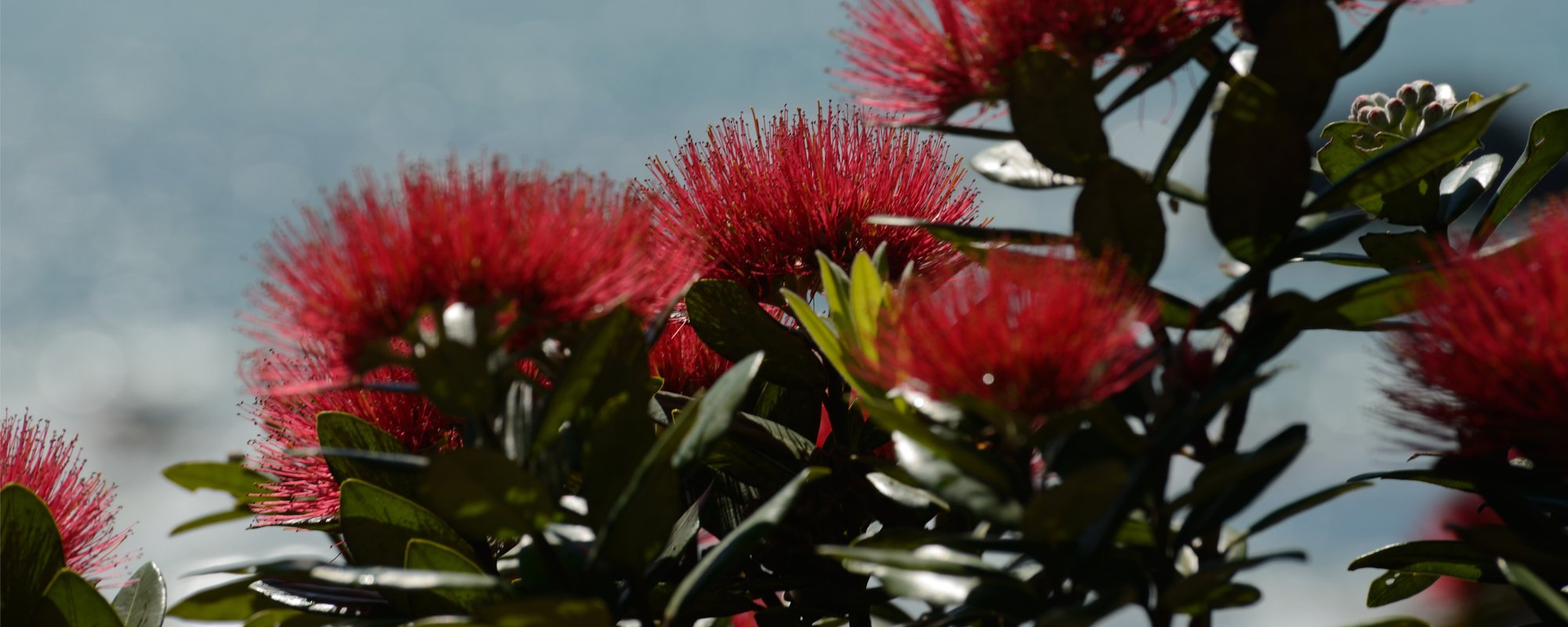 ERG_2831-DxO_DeepPRIME 3 copy 2