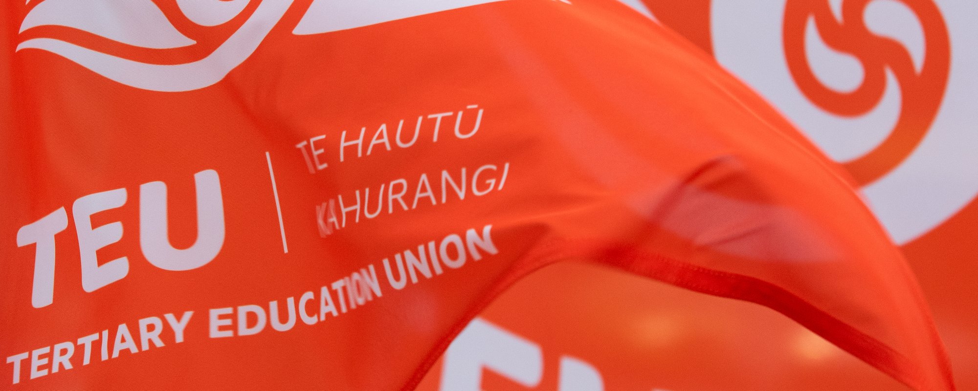 TEU Flags