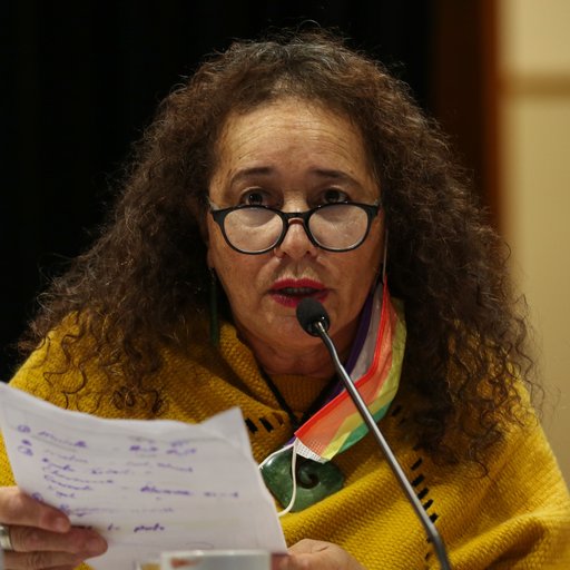 Te Pūkenga executive structure confirmed | Tertiary Education Union ...